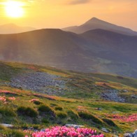 Appalachian Spring edm.jpg Appalachian Spring edm.jpg