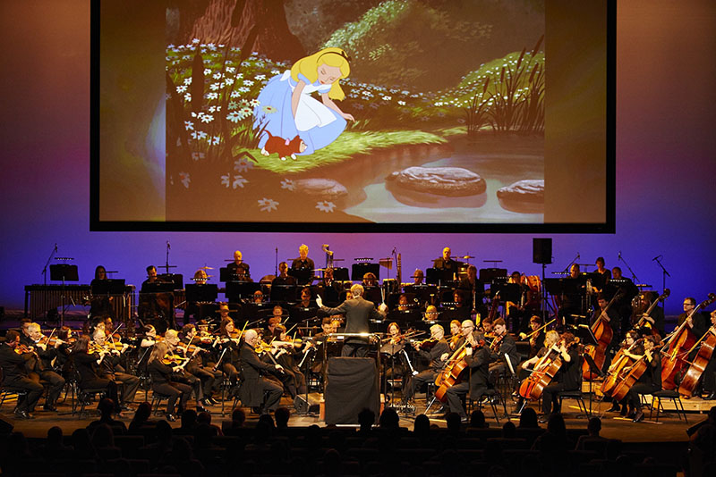 melbourne symphony orchestra new year the year in pictures melbourne symphony orchestra new year the year in pictures