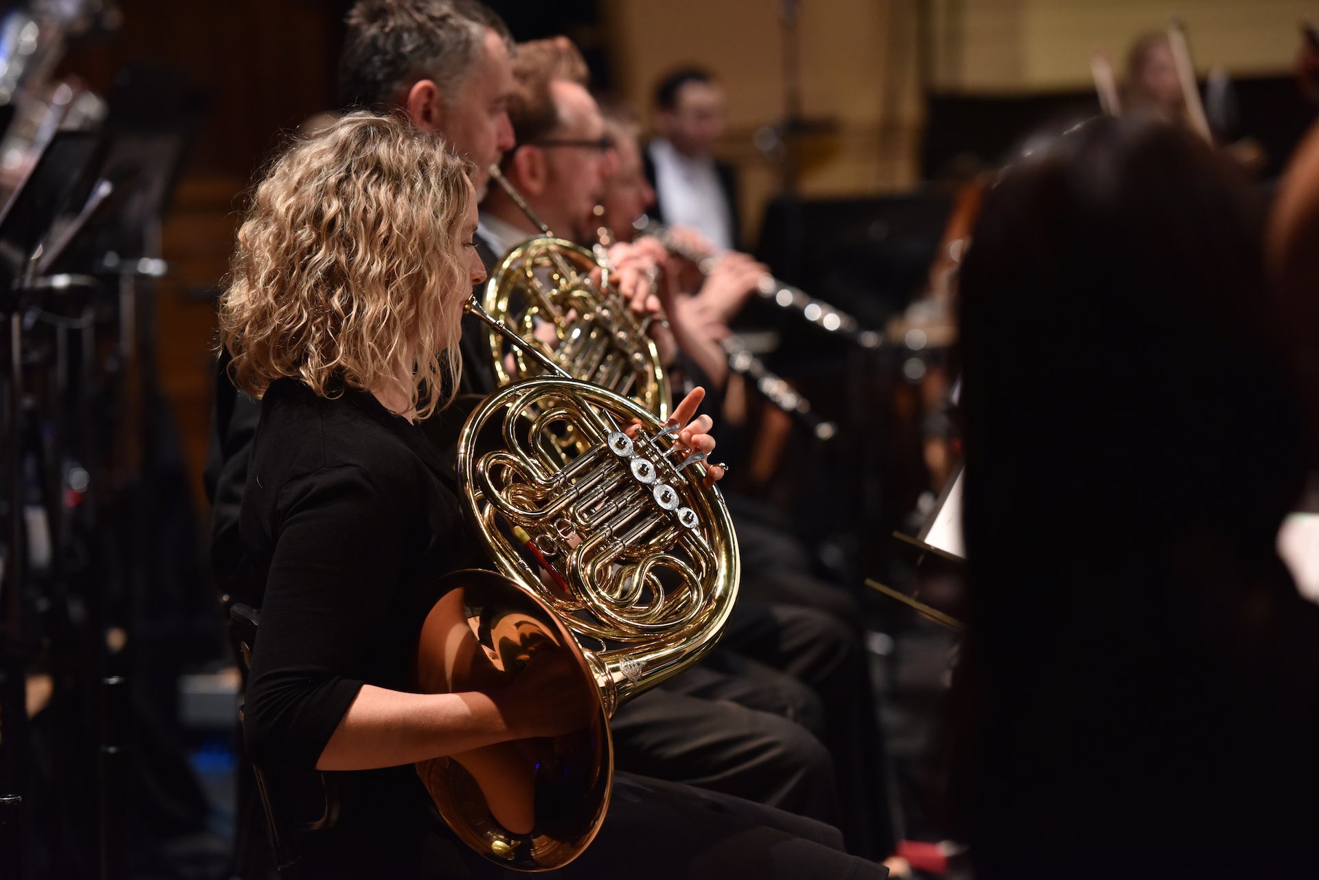 Meet the Musician Abbey Edlin, French Horn