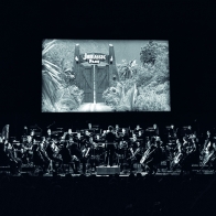 MSO at the Movies MSO at the Movies