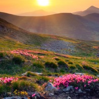 spring-web.jpg