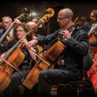 MSO Cellist Rohan de Korte | Image credit: Lucas Dawson