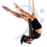 18028_Tutti_MSO Event Landing Page2_500x500xpx_FA.jpg