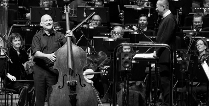 MSO Website - Governance.jpg