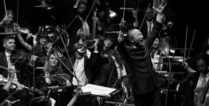 MSO Website - Fact Sheets.jpg