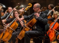 Orchestra-59_sml.jpg Orchestra-59_sml.jpg