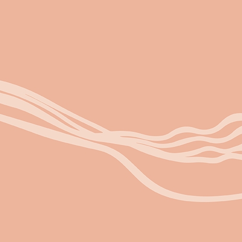 MSO Season 2020 - Recital Centre Series.jpg