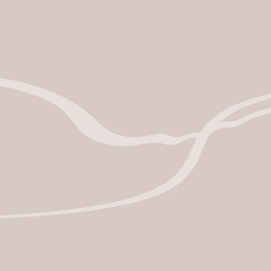 MSO Season 2020 - Chamber Series.jpg